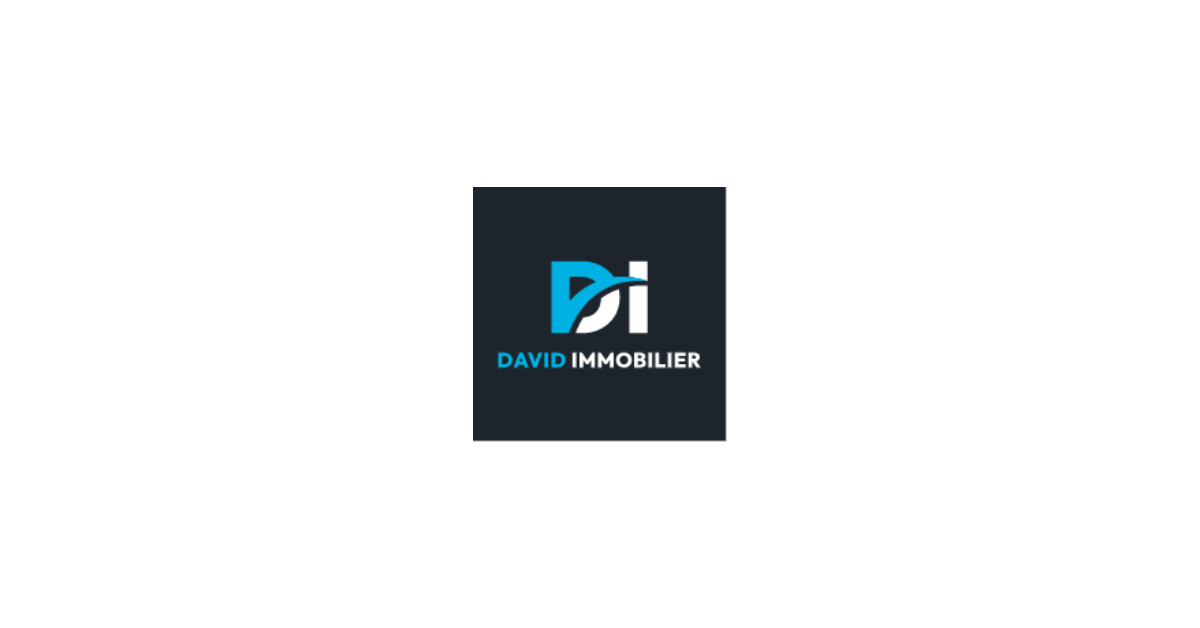 Logo de l'agence David Immobilier